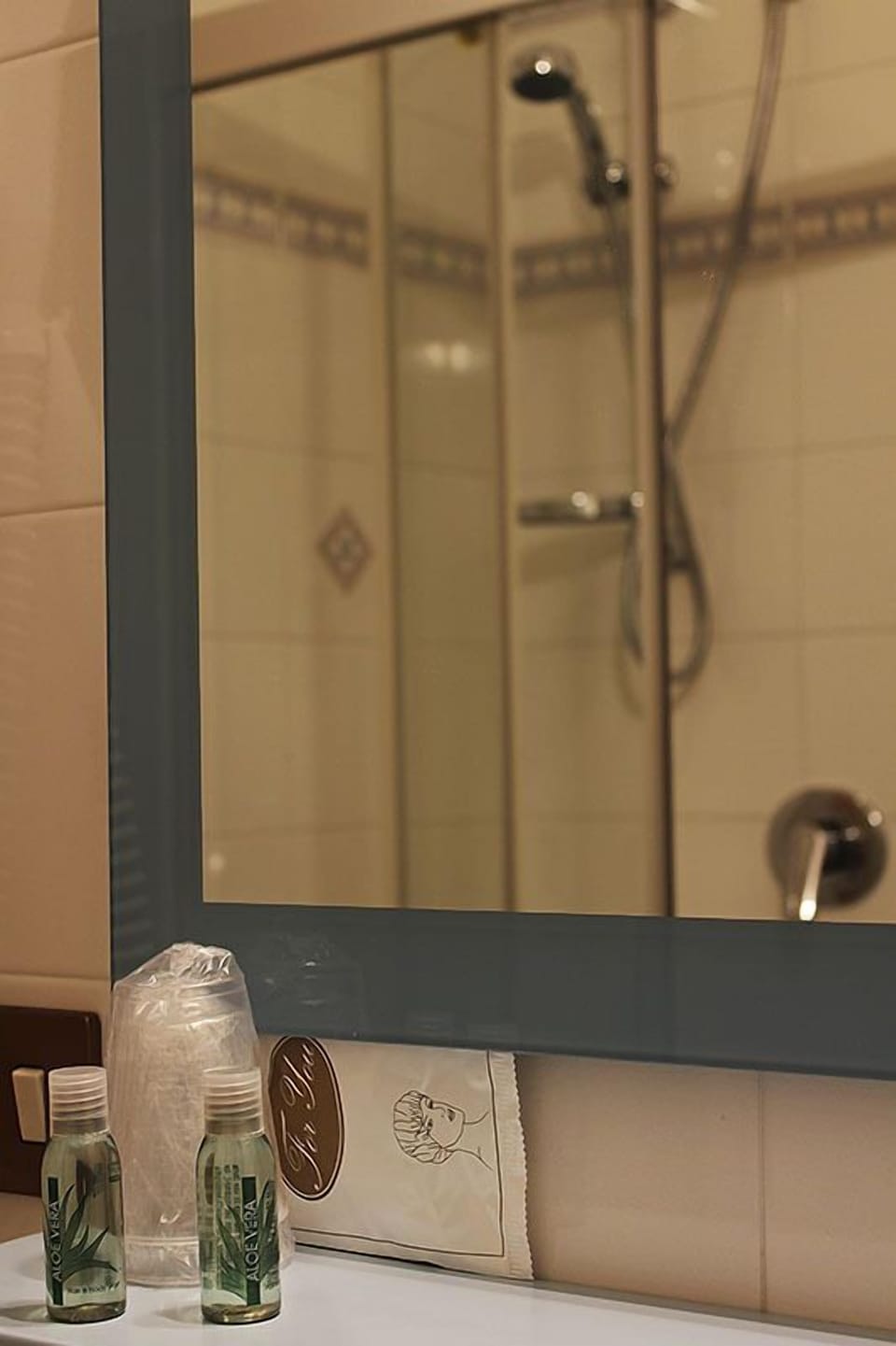 Shower, free toiletries, hair dryer, bidet