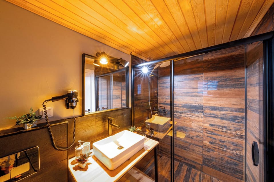 Shower, free toiletries, hair dryer, slippers