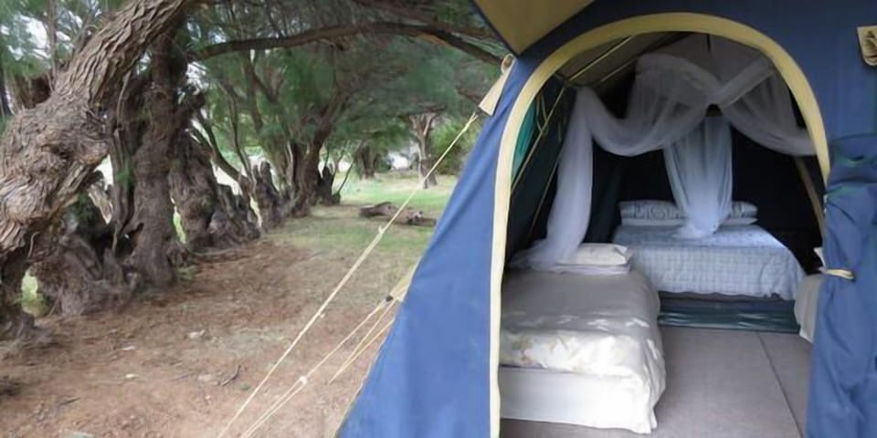 Comfort Tent, 2 Bedrooms | 1 bedroom, premium bedding