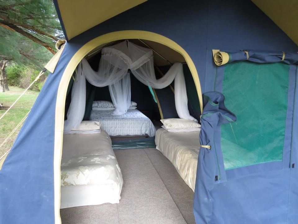 1 bedroom, premium bedding
