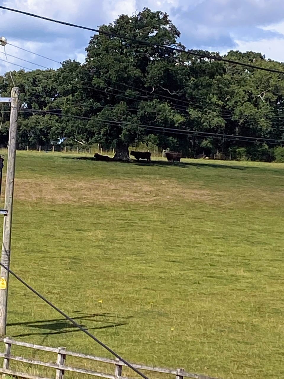 Room 5 Double Room | View from room