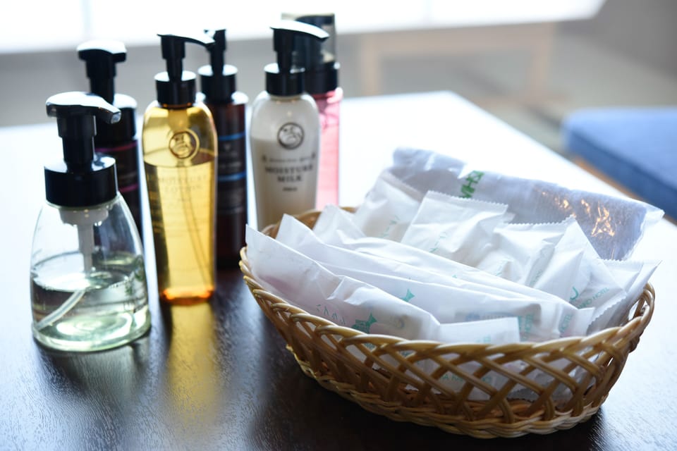 Free toiletries, hair dryer, slippers, bidet