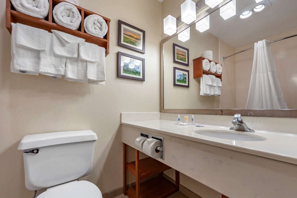 Room, Multiple Beds | Bathroom | Bathtub, free toiletries, hair dryer, towels