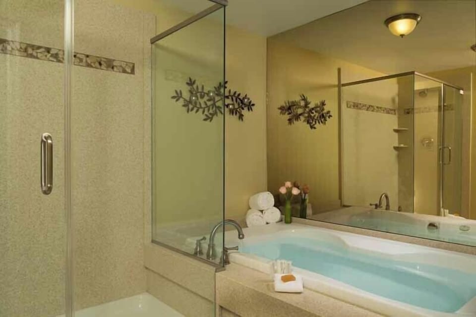 Luxury Suite, 1 King Bed | Bathroom | Hair dryer, towels, soap, shampoo