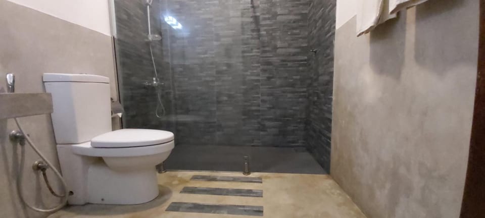 Shower, free toiletries, hair dryer, bidet