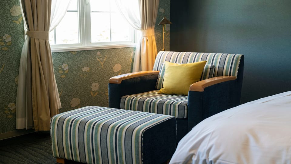 Deluxe Twin Room | Down comforters, minibar, desk, free cribs/infant beds