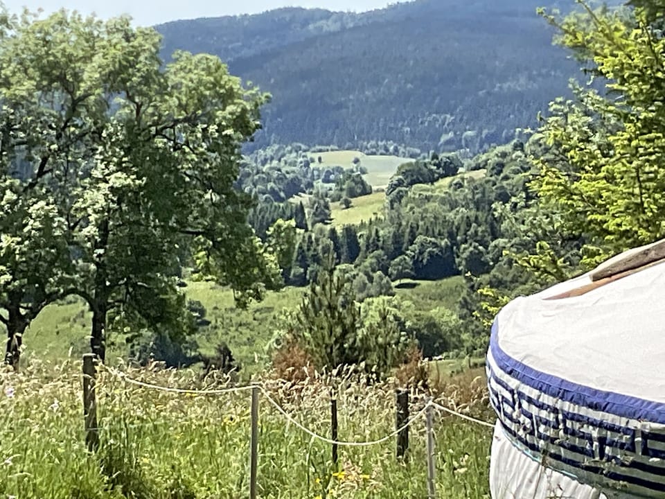 View from property