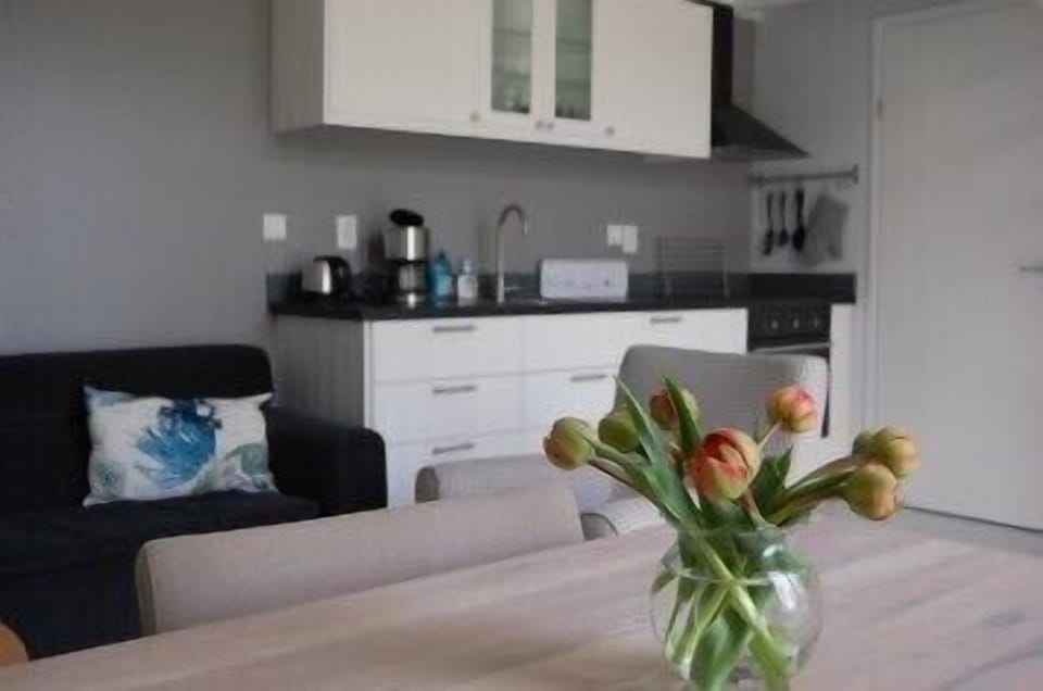 Apartment, 2 Bedrooms (De Schelp) | Private kitchenette | Fridge, microwave, oven, stovetop