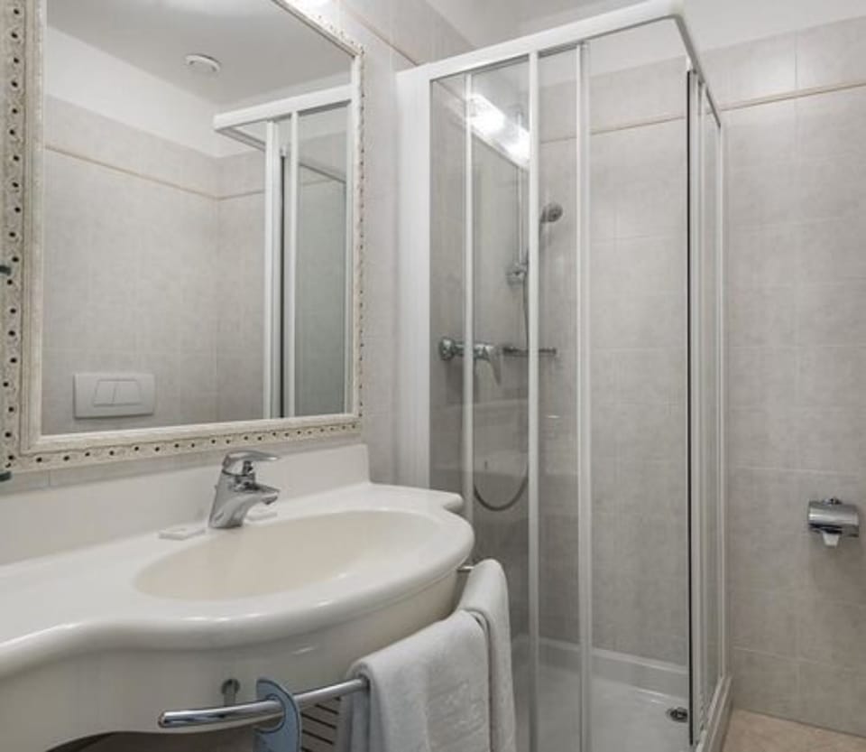 Shower, free toiletries, hair dryer, bidet