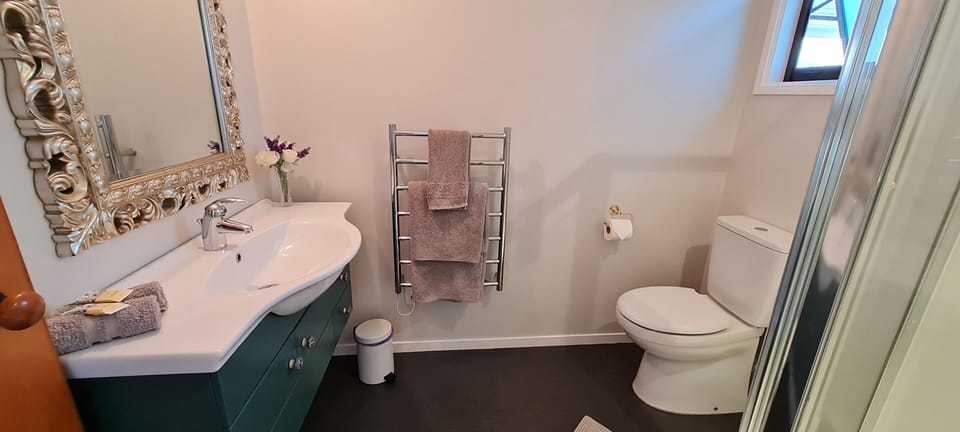 Studio Apartment | Bathroom | Shower, free toiletries, towels