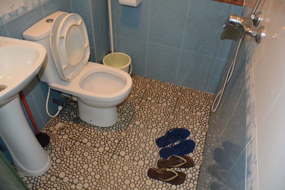 Shower, free toiletries, hair dryer, slippers