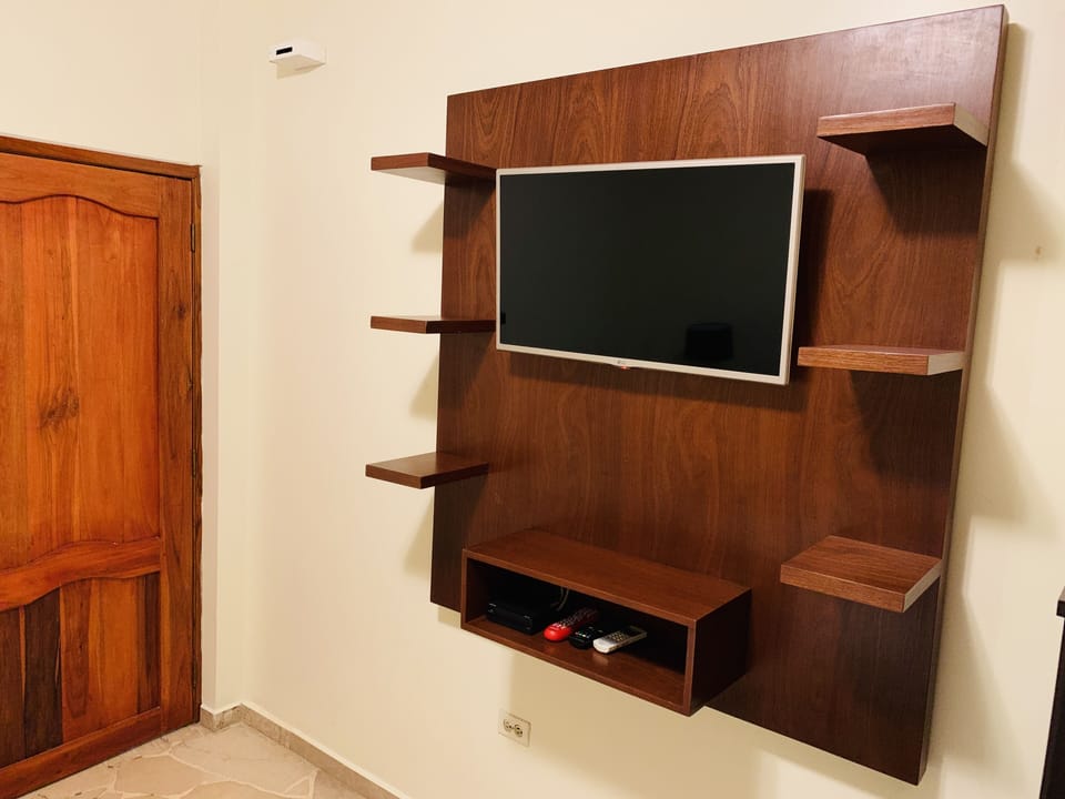 Television