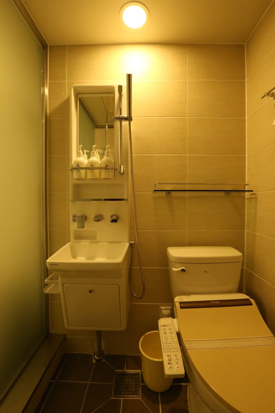 Shower, hair dryer, slippers, bidet