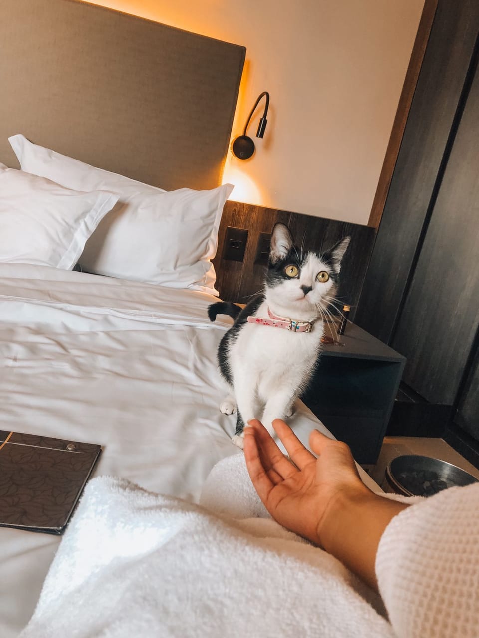 Premium bedding, minibar, in-room safe, laptop workspace