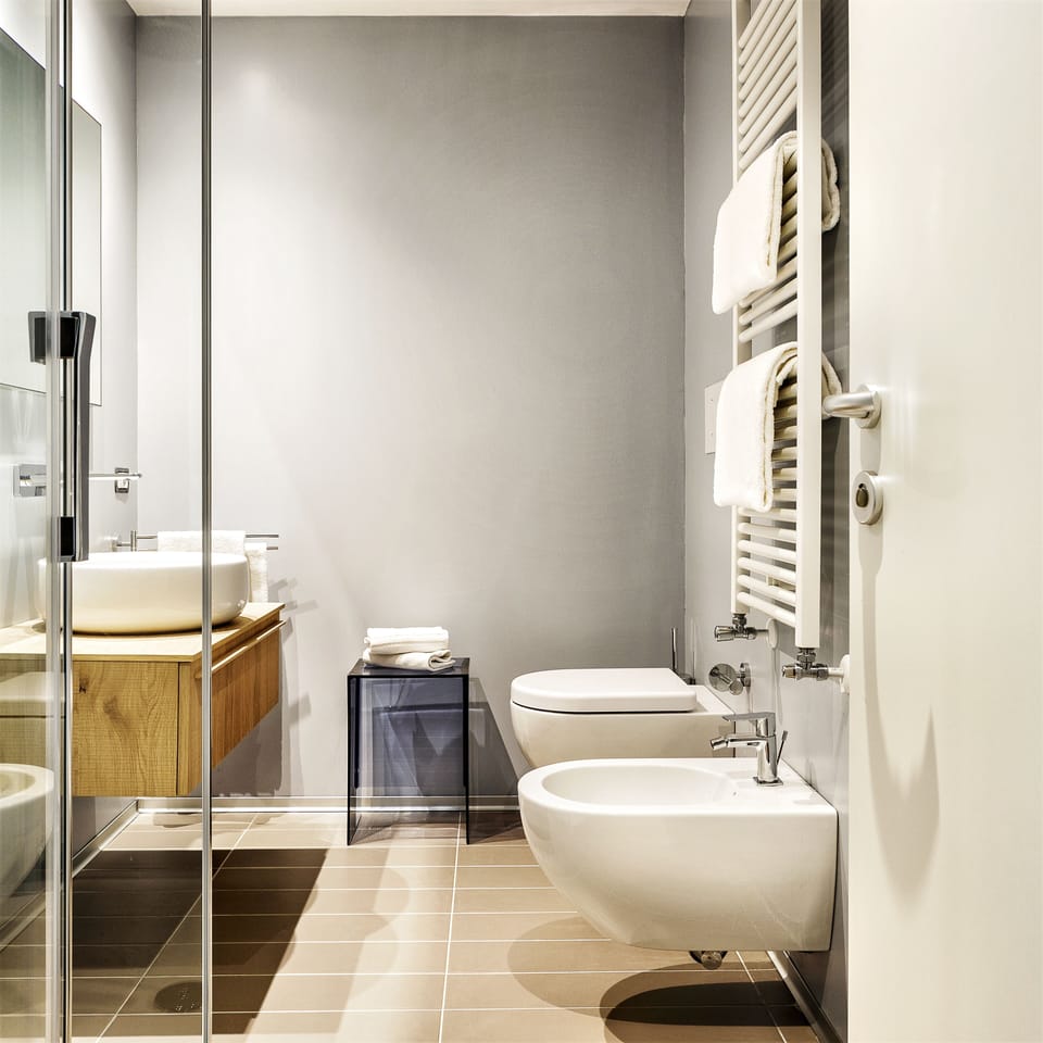 Shower, free toiletries, hair dryer, bidet