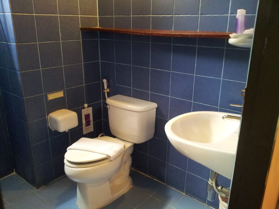 Junior Suite, 1 King Bed | Bathroom | Shower, free toiletries, hair dryer, towels
