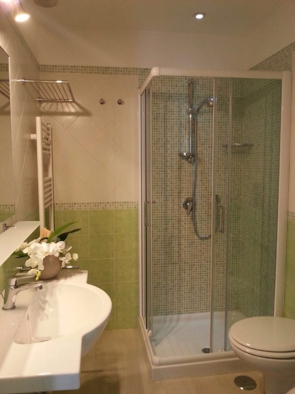 Shower, free toiletries, hair dryer, bidet