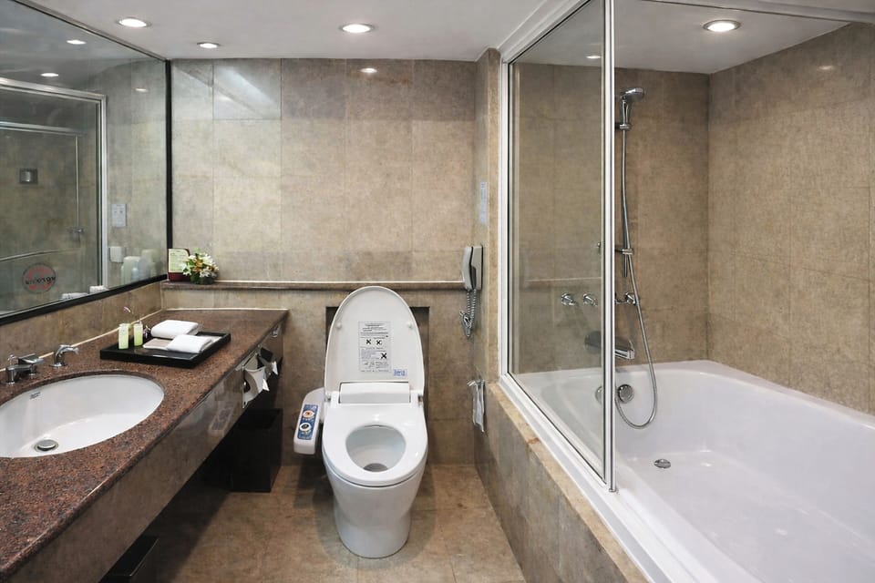 Free toiletries, hair dryer, slippers, bidet