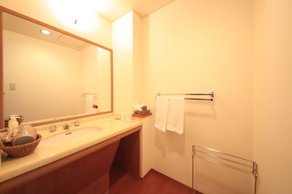 Hair dryer, slippers, electronic bidet, towels