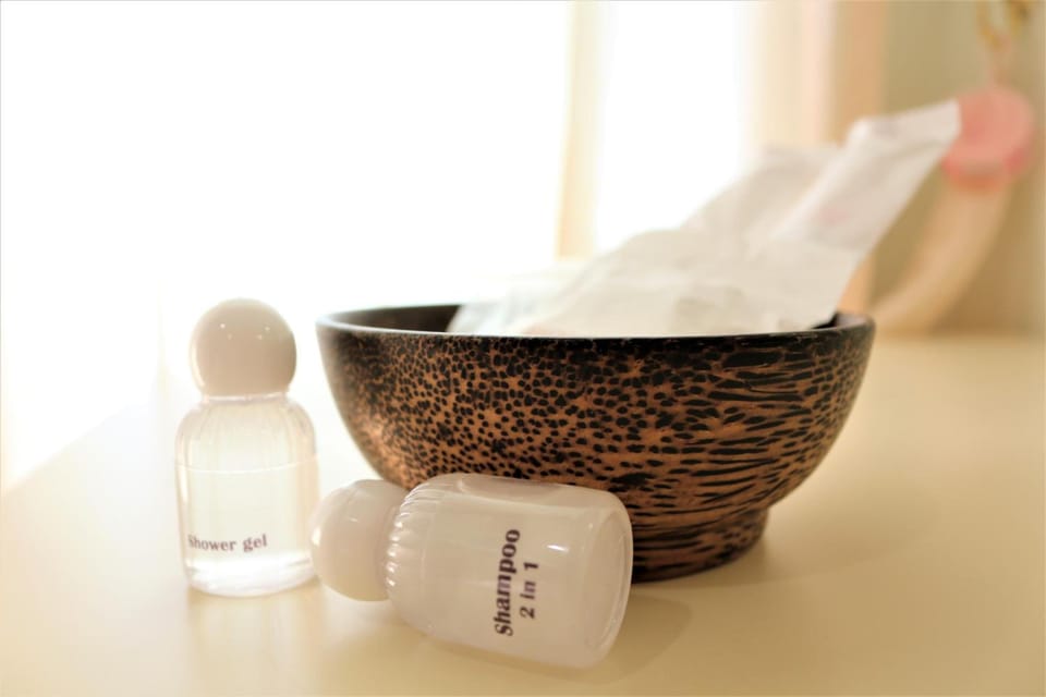 Shower, free toiletries, hair dryer, towels