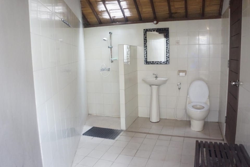 Shower, free toiletries, towels