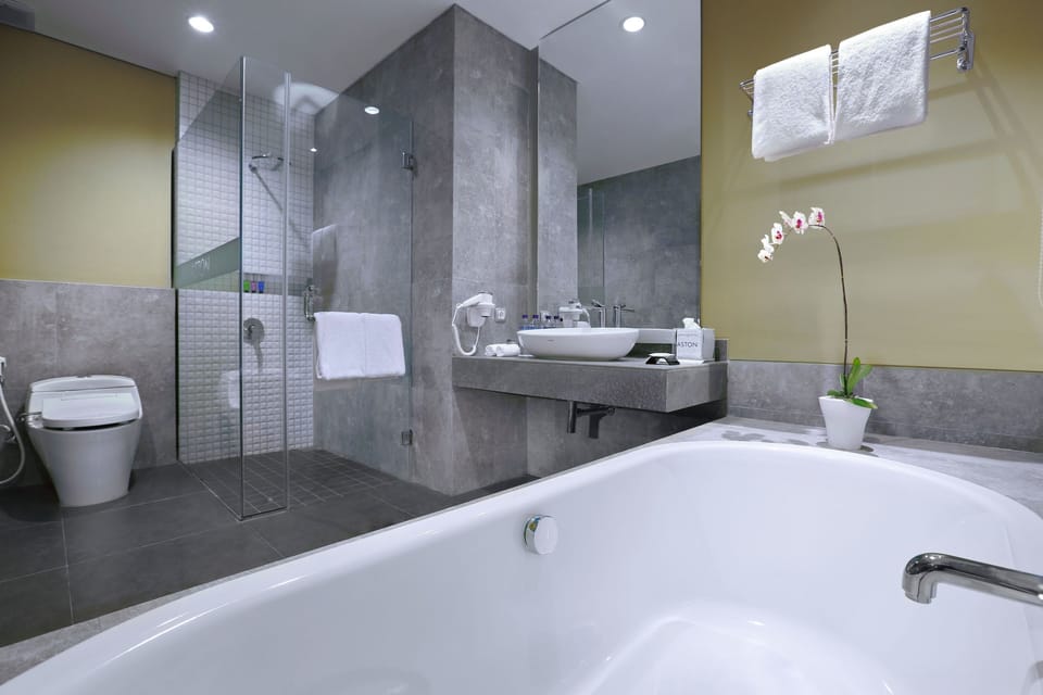 Aston Suite | Bathroom | Combined shower/tub, free toiletries, hair dryer, slippers