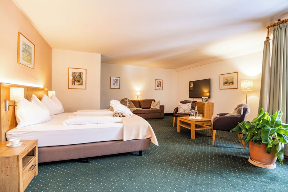 Deluxe Double Room | Living area | 40-inch flat-screen TV with satellite channels, TV, table tennis
