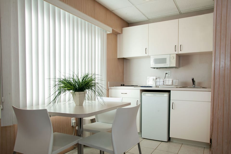 Basic Double Room, Kitchenette (Type E3, Building 1) | Private kitchen | Fridge, microwave, coffee/tea maker