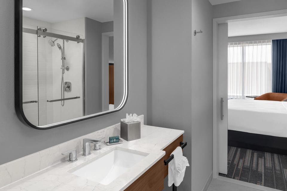 Combined shower/tub, hair dryer