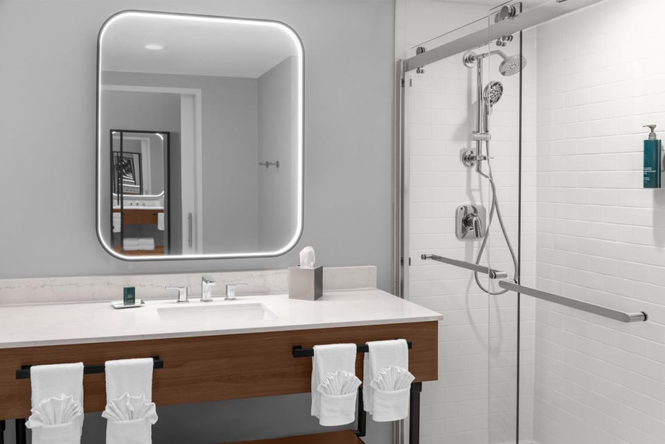 Combined shower/tub, hair dryer