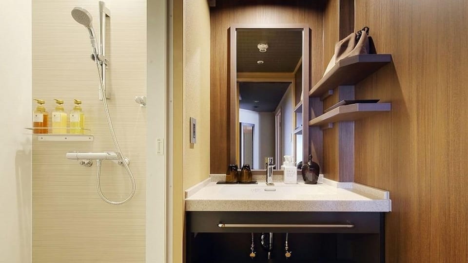 Free toiletries, hair dryer, slippers, bidet
