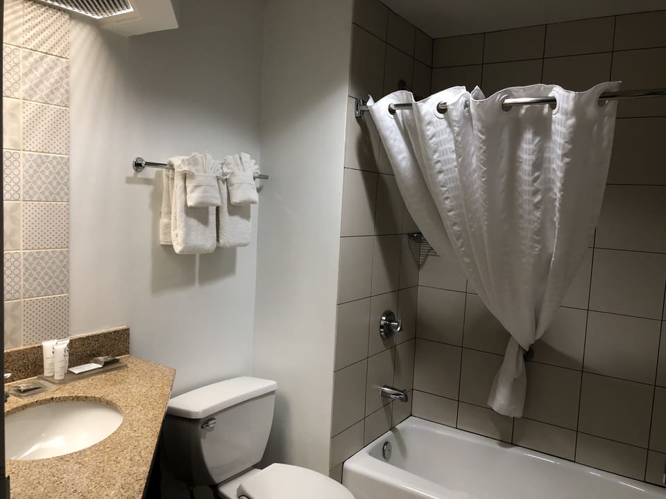 Combined shower/tub, free toiletries, hair dryer, towels