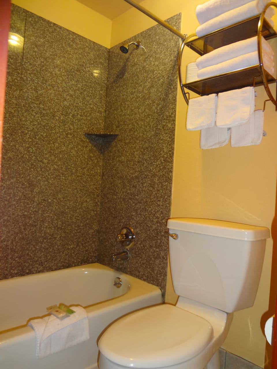 Combined shower/tub, free toiletries, hair dryer, towels