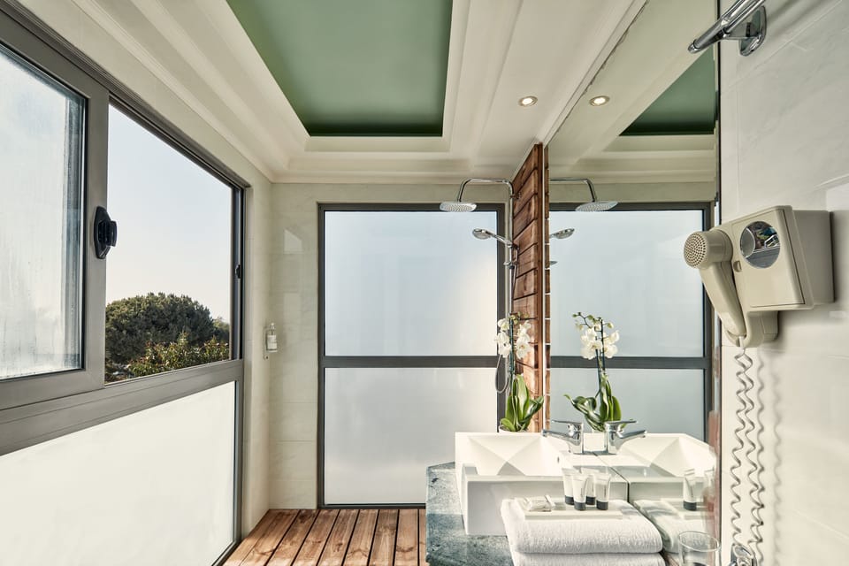 Eco-friendly toiletries, hair dryer, towels