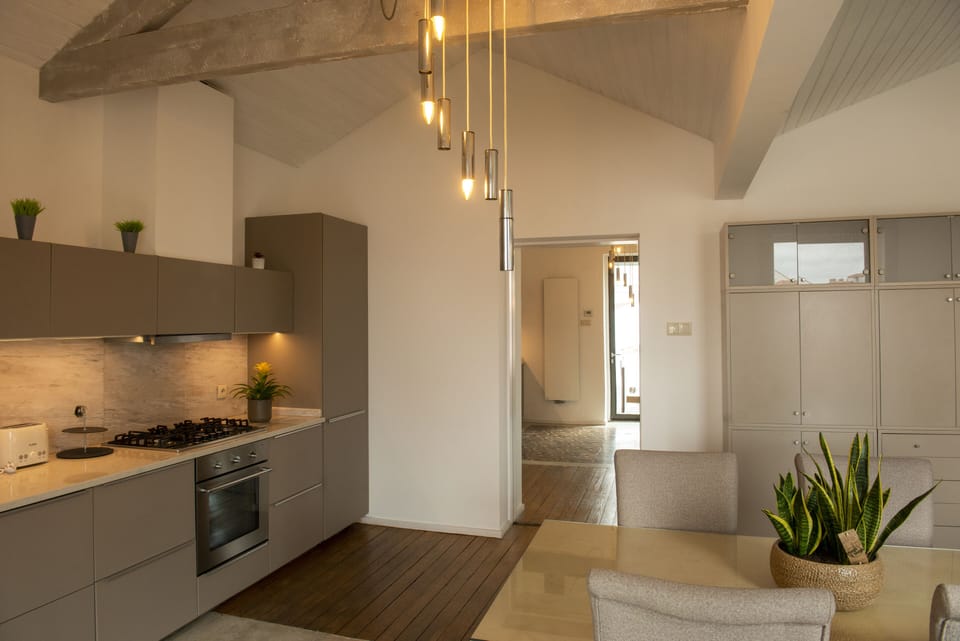 Panoramic Apartment, 1 King Bed, Garden View | Private kitchenette | Electric kettle