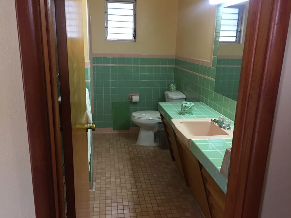 Combined shower/tub, deep soaking tub, hydromassage showerhead