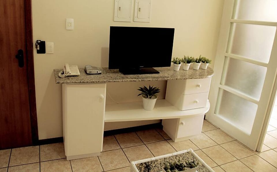 Television