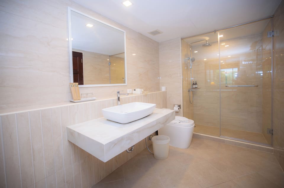Premium Pool View Twin Room with Balcony | Bathroom | Shower, free toiletries, hair dryer, towels