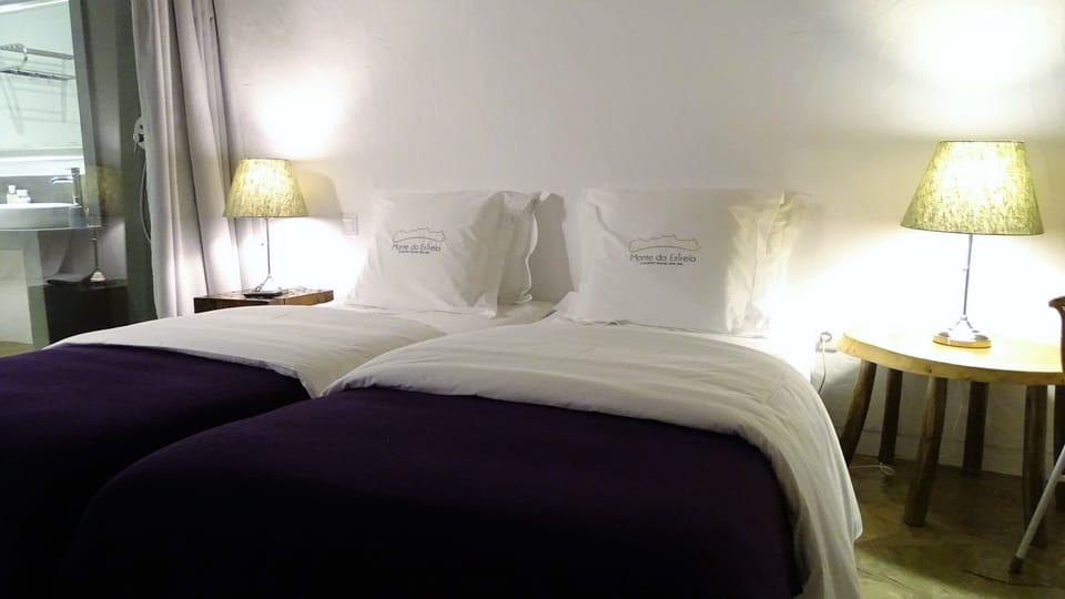 Double or Twin Room | Premium bedding, minibar, desk, blackout drapes