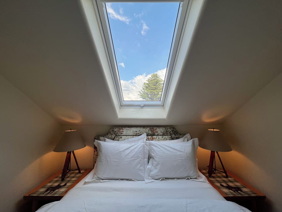 Standard Single Room | Premium bedding, down comforters, individually decorated