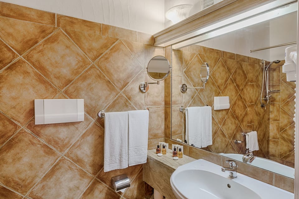 Classic Room | Bathroom | Shower, free toiletries, hair dryer, bidet