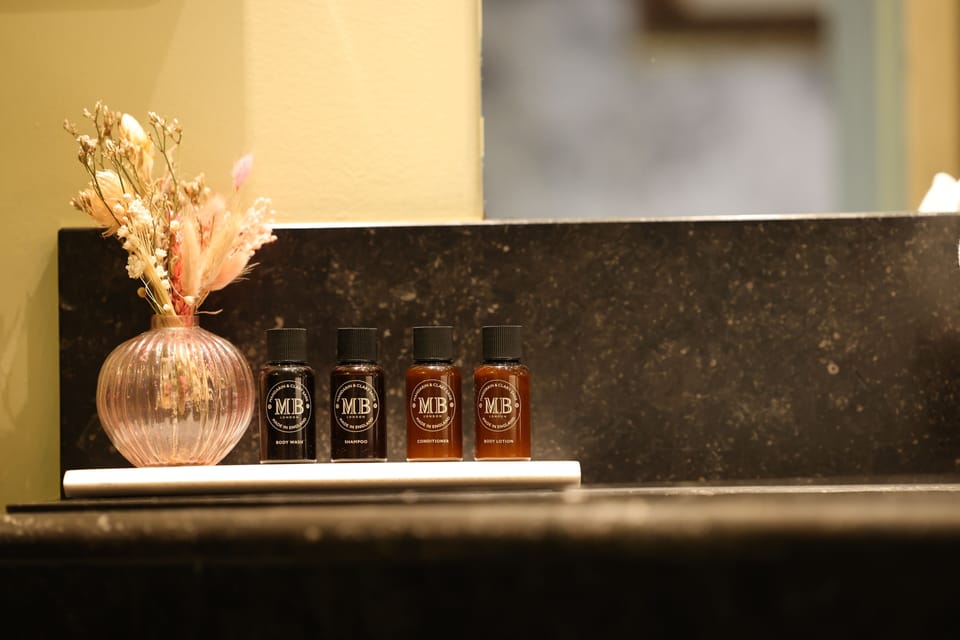 Standard Double Room | Bathroom amenities | Designer toiletries, hair dryer, slippers, towels