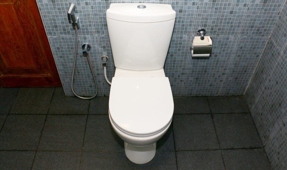 Premium Double Room, 1 Double Bed | Bathroom | Shower, free toiletries, hair dryer, towels
