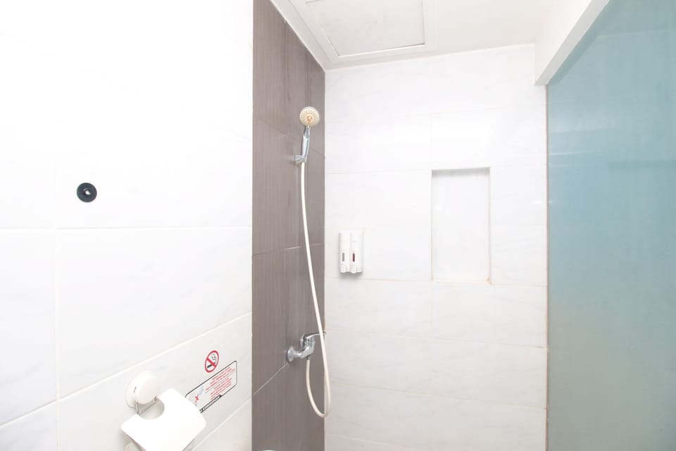 Shower, free toiletries, bidet, towels