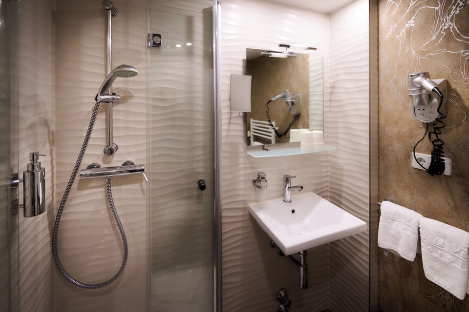 Shower, hair dryer, towels
