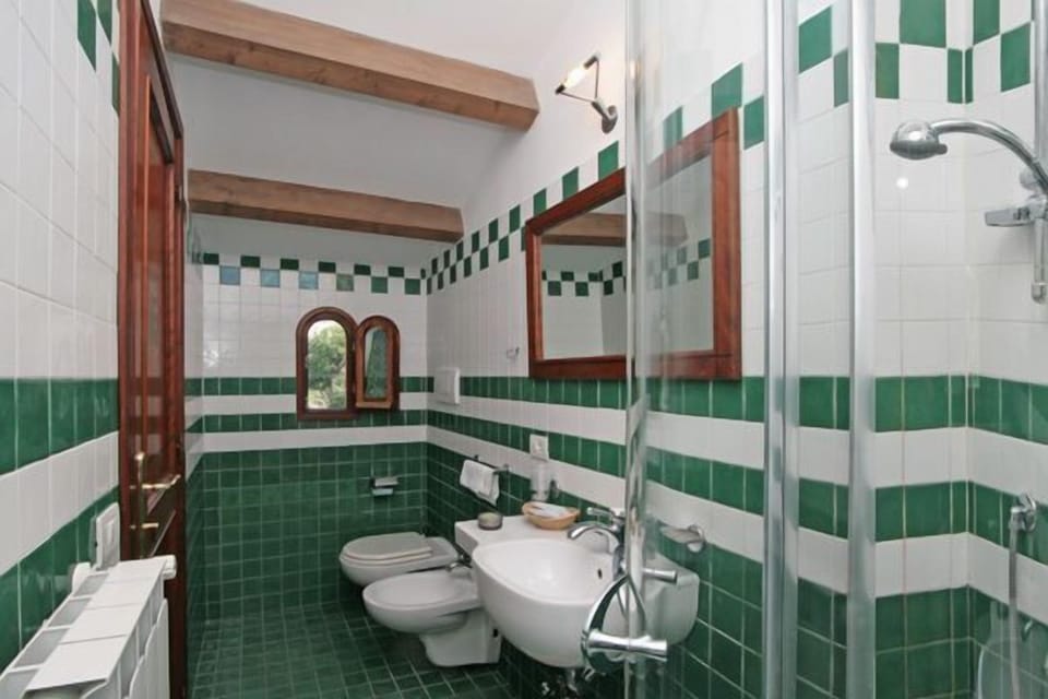 Shower, free toiletries, hair dryer, bidet