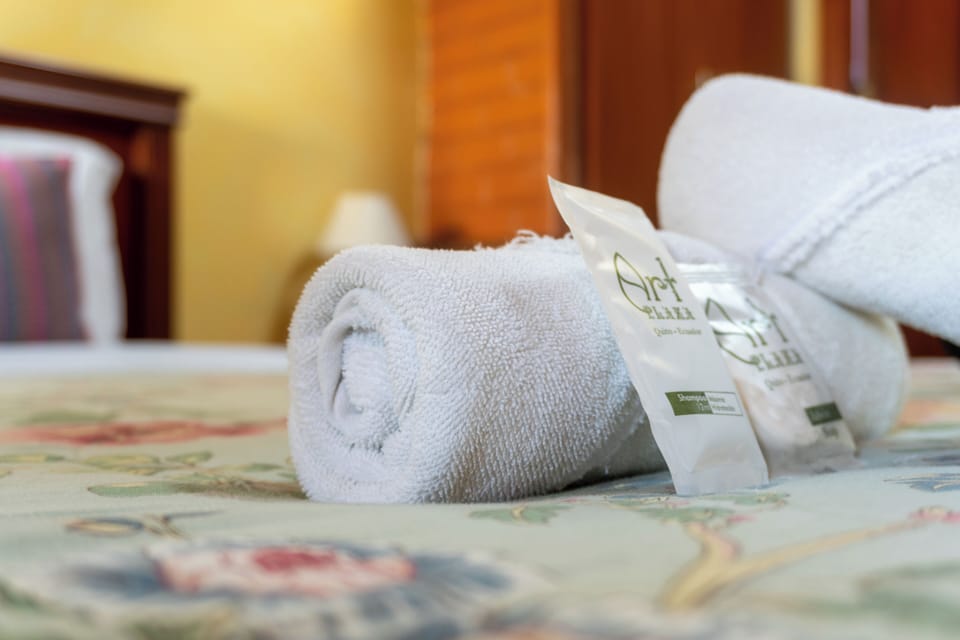 Single Room | In-room safe, desk, iron/ironing board (on request), WiFi (free)