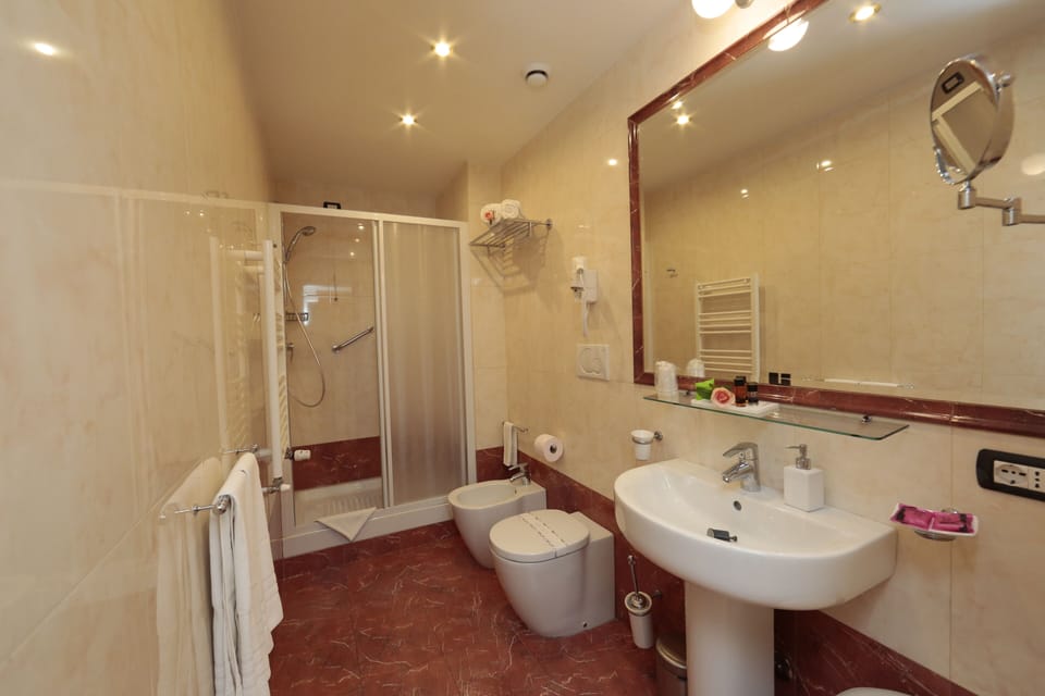 Free toiletries, hair dryer, slippers, bidet