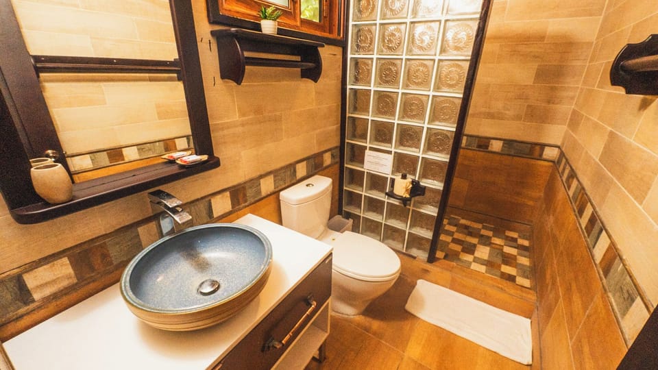 Shower, towels, soap, toilet paper