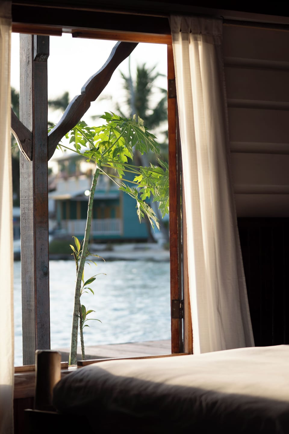 Deluxe Room, 1 Queen Bed, Kitchenette, Ocean View | Premium bedding, down comforters, pillowtop beds, individually decorated